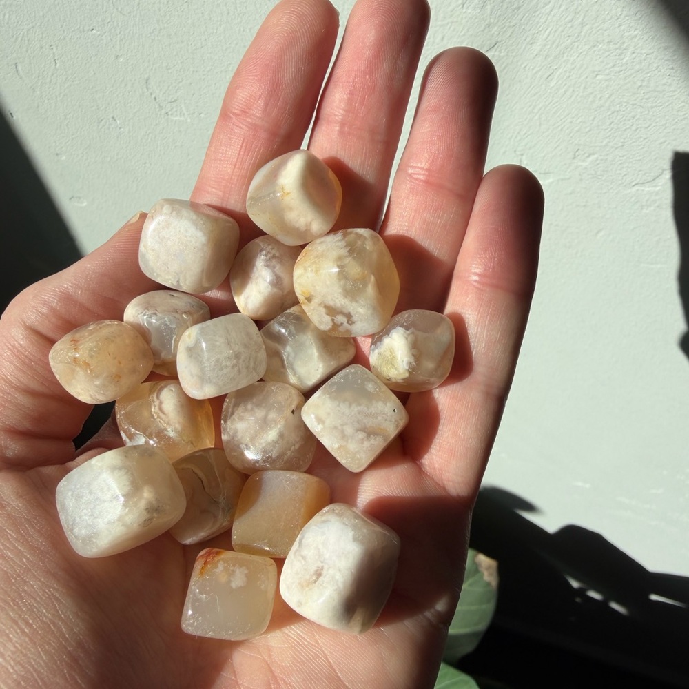 Flower agate cubes
